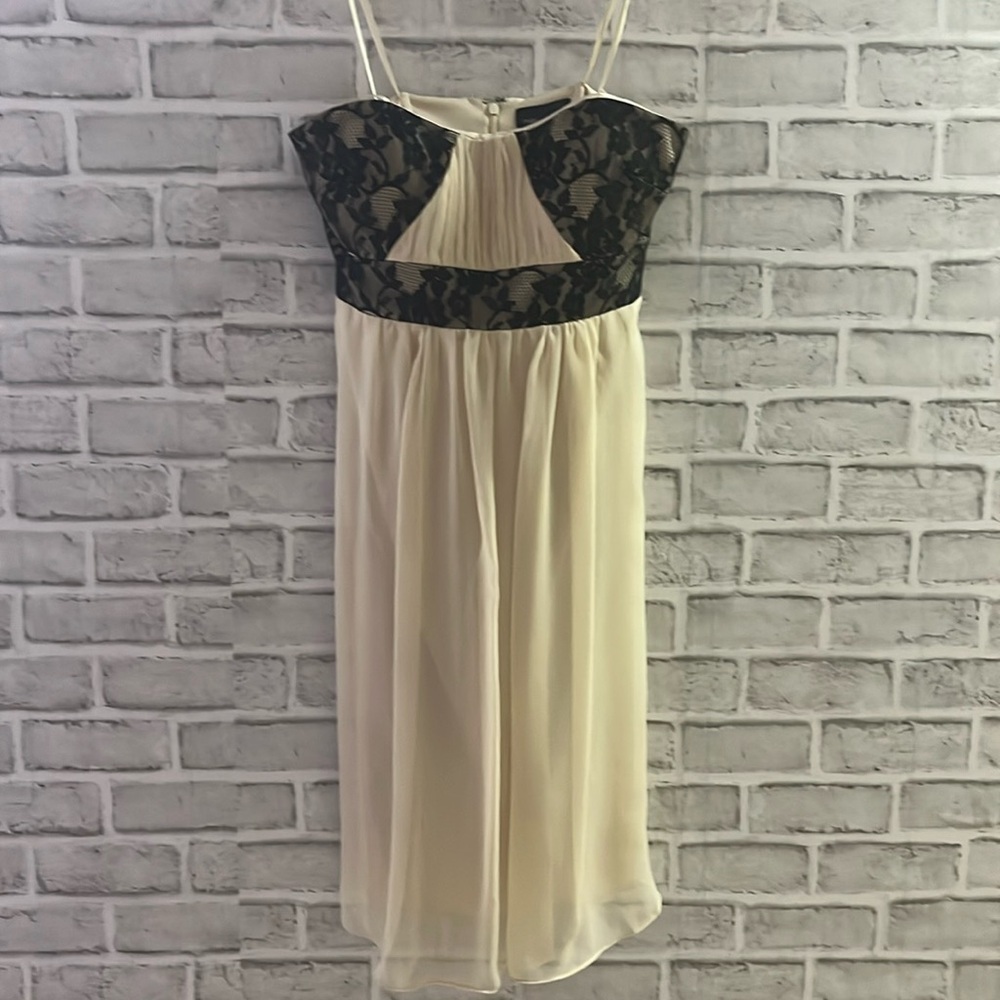 Max and Cleo by BCBG size 2 sleeveless cocktail/wedding chiffon and lace